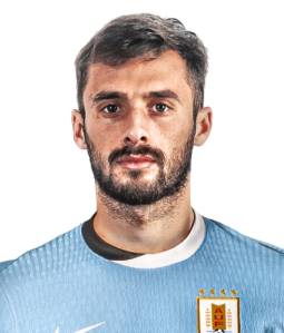 Saracchi